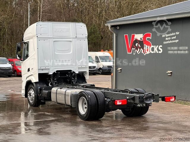 Shasi kamioni DAF XF 480 FA 4x2 Fahrgestell Blatt-/Luft *NEU*