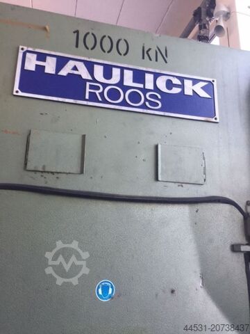 Automatisk stansmaskin Haulick & Ross RVD 100