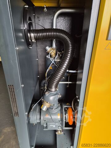 Schraubenkompressor Kaeser BSD 62
