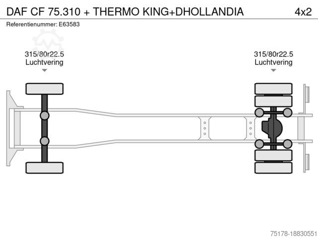 Pengangkutan dalam peti sejuk/beku DAF CF 75.310 + THERMO KING+DHOLLANDIA
