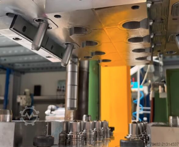 Locostréa Locostréa Locostréa