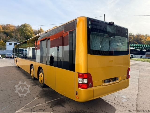 City bus MAN Lion's City A44 NL 363 || AC , 2 gleiche Fahrz.