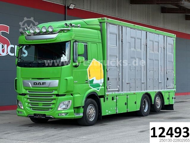 畜禽运输卡车 DAF XF 480 LL 6x2 3.Stock Menke Viehwagen m. Hubdach