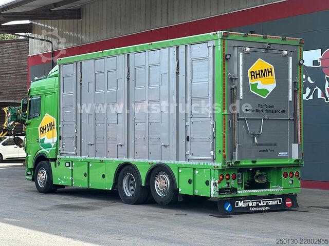 畜禽运输卡车 DAF XF 480 LL 6x2 3.Stock Menke Viehwagen m. Hubdach