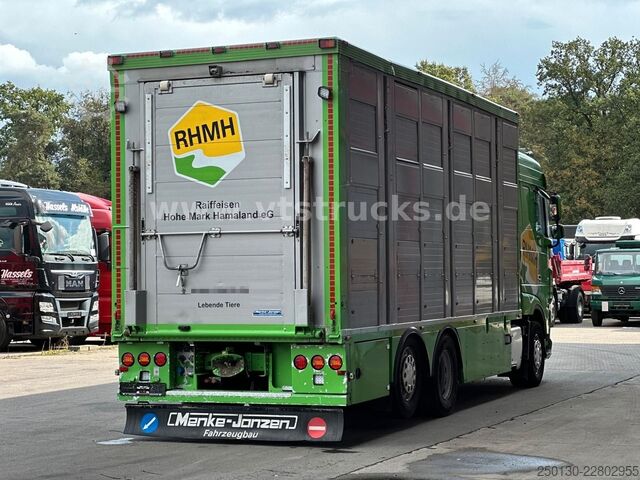 畜禽运输卡车 DAF XF 480 LL 6x2 3.Stock Menke Viehwagen m. Hubdach