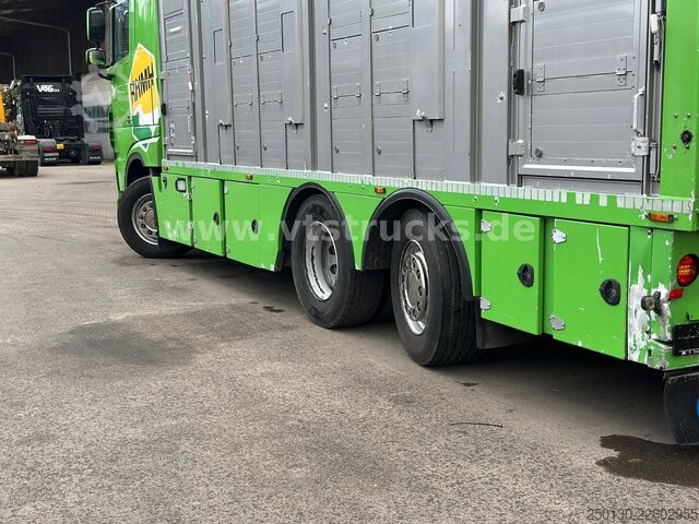 畜禽运输卡车 DAF XF 480 LL 6x2 3.Stock Menke Viehwagen m. Hubdach