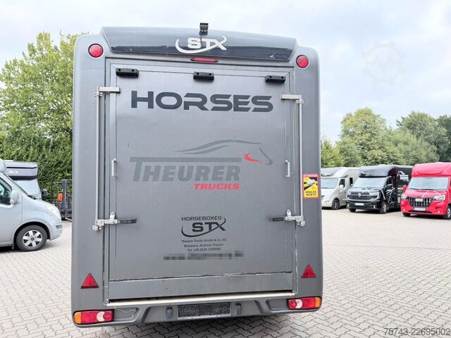 Prikolica za prevoz konj  STX 3,5T  2 Pferd   Pferdeanh. Wohn. Dusche, WC