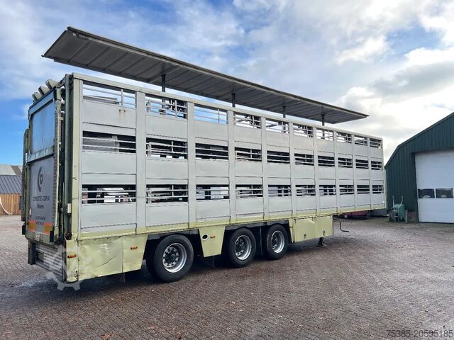 Viehtransport Berdex 1/2/3 livestock veewagen