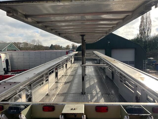 Viehtransport Berdex 1/2/3 livestock veewagen