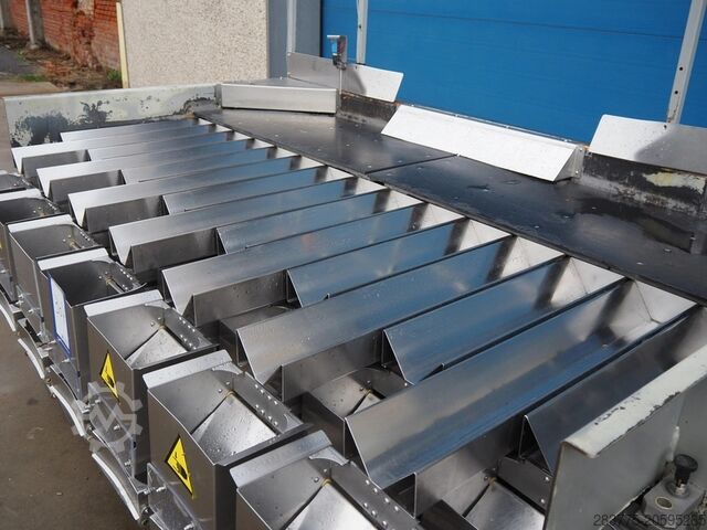 Línea de Envasado de Naranjas Cítricas Giro Upmann Giro GB60 Upmann 2515