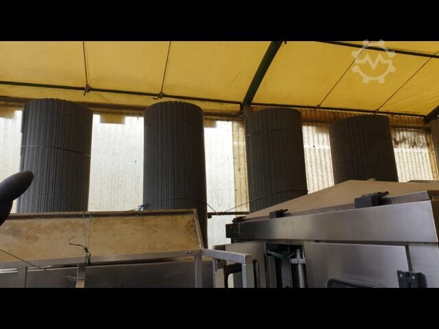 Used pasteurizer for tomato juice 400 CPM Bondani BOND
