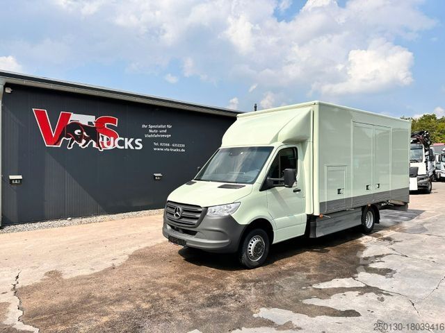 Automobilių gabenimo furgonas MERCEDES-BENZ Sprinter 519 CDI CAZOO Sportwagentransporter