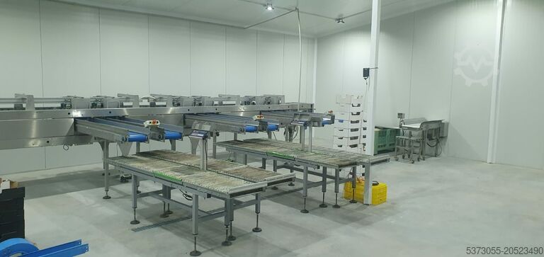 Ayıklama makinesi Unitec 200 CHERRY