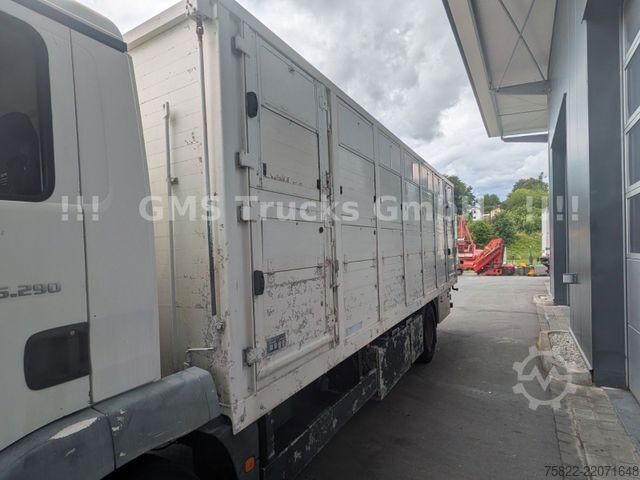 Lori pengangkut ternakan MAN TGM 15.290 / Menke / load 7750kg / E5
