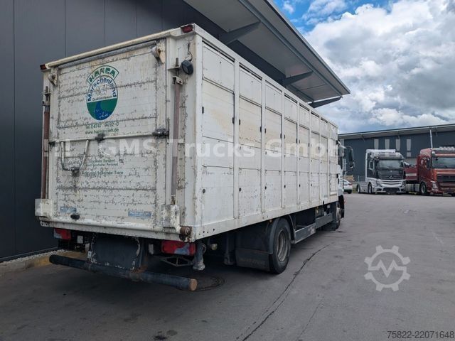 Lori pengangkut ternakan MAN TGM 15.290 / Menke / load 7750kg / E5