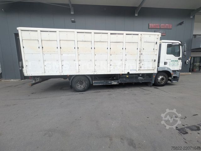 Lori pengangkut ternakan MAN TGM 15.290 / Menke / load 7750kg / E5