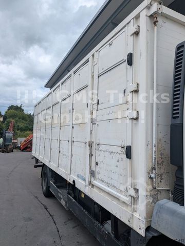 Lori pengangkut ternakan MAN TGM 15.290 / Menke / load 7750kg / E5