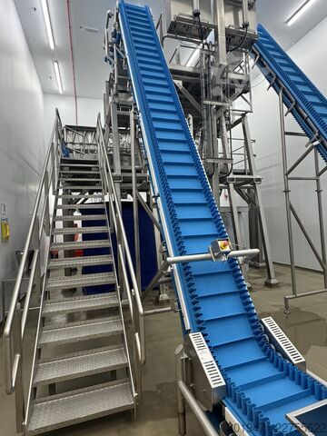 2 dây chuyền đóng gói, trước đây dùng để đóng gói rau salad Multipond, GIC, VH packing Packing lines
