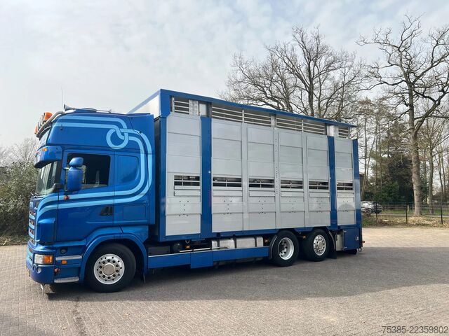 Búfjárflutningar Scania R 500 LB 6X2*4 MNA Berdex 1/2/3 Moving roof Big...
