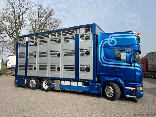 Búfjárflutningar Scania R 500 LB 6X2*4 MNA Berdex 1/2/3 Moving roof Big...