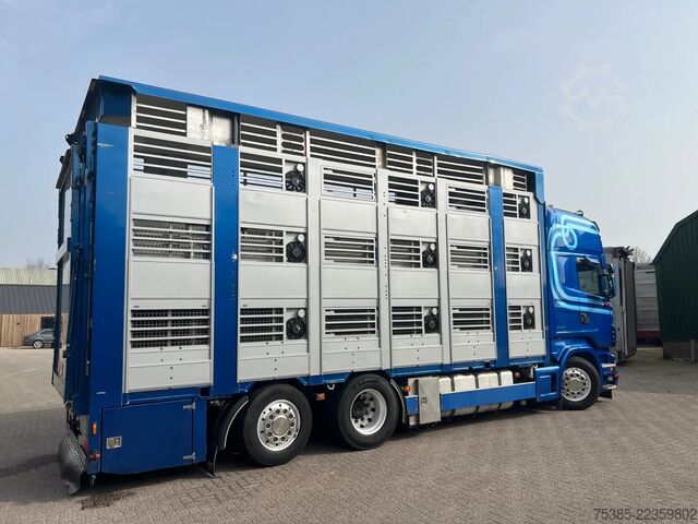 Búfjárflutningar Scania R 500 LB 6X2*4 MNA Berdex 1/2/3 Moving roof Big...