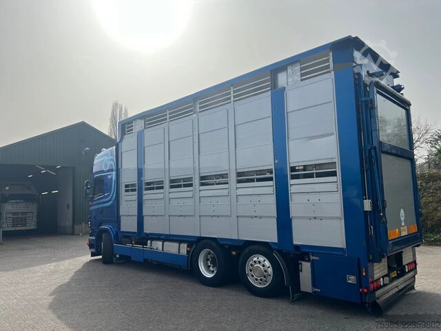 Búfjárflutningar Scania R 500 LB 6X2*4 MNA Berdex 1/2/3 Moving roof Big...