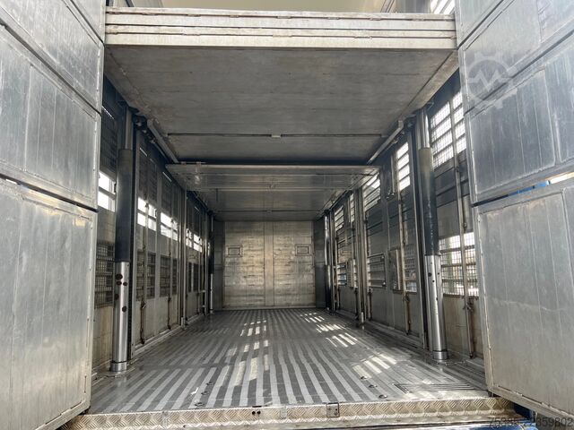Búfjárflutningar Scania R 500 LB 6X2*4 MNA Berdex 1/2/3 Moving roof Big...