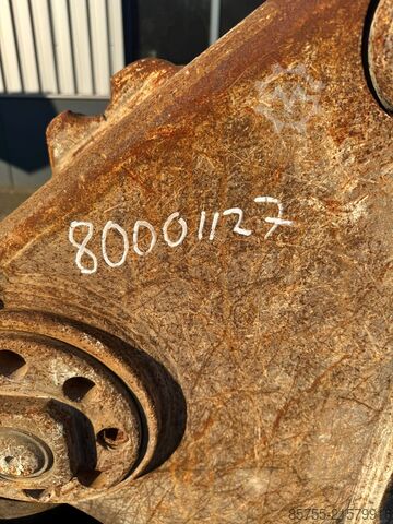 Locostréa Locostréa Locostréa