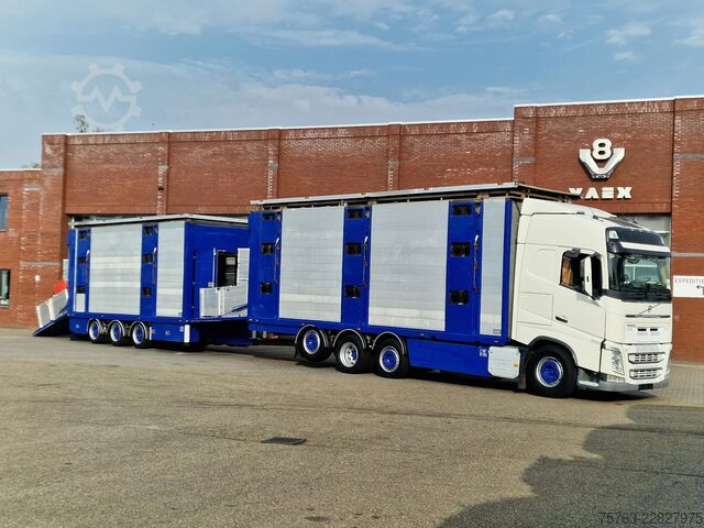 Превоз на едър рогат добитък Volvo FH 13.500 Globetrotter 8x2*6 - 3 deck livestock...