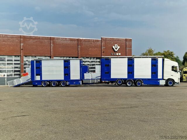 Превоз на едър рогат добитък Volvo FH 13.500 Globetrotter 8x2*6 - 3 deck livestock...