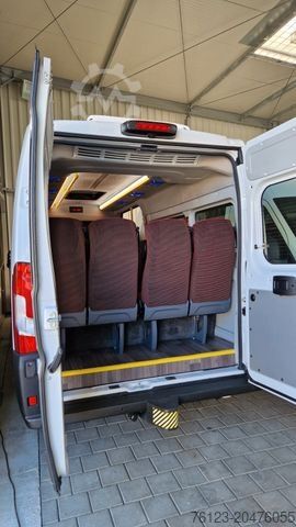 Minibus PEUGEOT Opel Movano Fiat Ducato Boxer mehrfach vorhanden