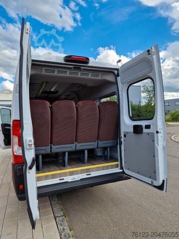 Minibus PEUGEOT Opel Movano Fiat Ducato Boxer mehrfach vorhanden