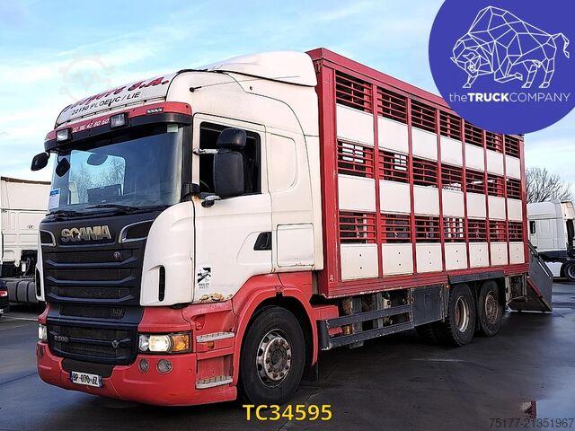 Cattle transport Scania R 500