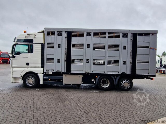 Transporte de gado MAN TGX 26.480 6x2*4 - Menke 3 deck livestock 50.40...