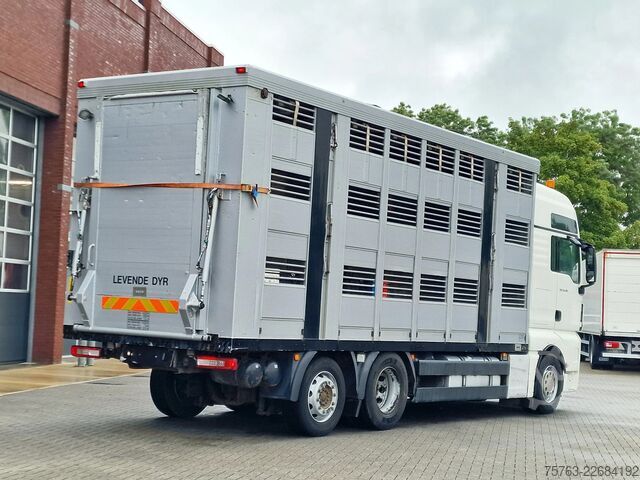 Transporte de gado MAN TGX 26.480 6x2*4 - Menke 3 deck livestock 50.40...