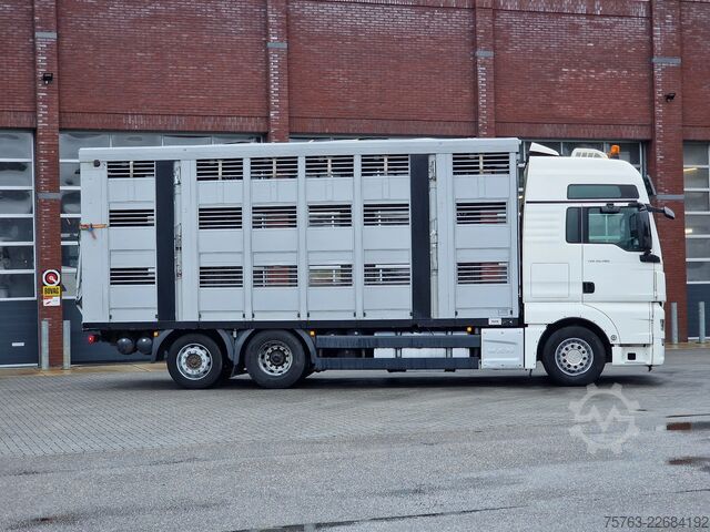 Transporte de gado MAN TGX 26.480 6x2*4 - Menke 3 deck livestock 50.40...