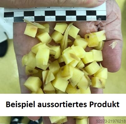 Mașină de sortare optică PULSARR (Best / TOMRA) RX 1020 FF4C