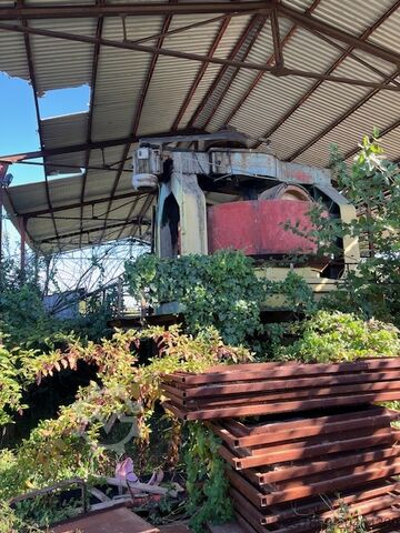 ืืืื ืช ืขืืฆืื ืืื ืื ืืจืขืคืื