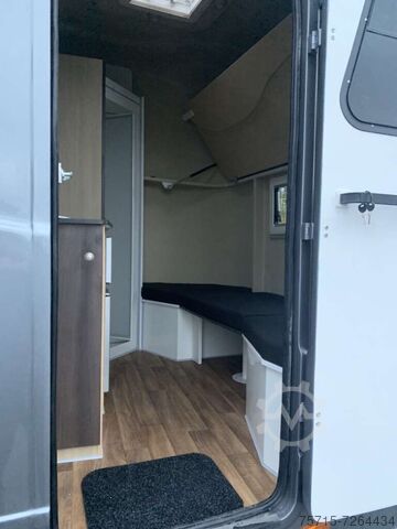 Horse trailer Steinsberger 2-3 Pferde + Wohnabteil