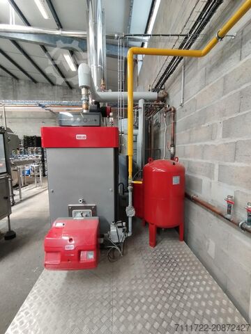 Gas boiler Riello RTS 3S 349