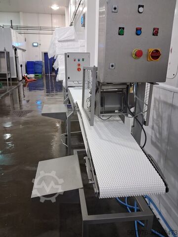 Makinë për përpunimin e peshkut Carnitech CT 2612 Pin-boning & Packing Line