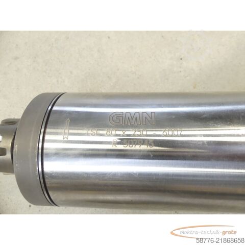  GMN TSE 80 x 250 - 6007 Spindel SN: R307943 mit Siemens 1LA5073-4AB95-Z Motor