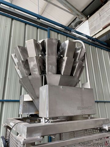 Packing machine  Bilwinco DW6014-D