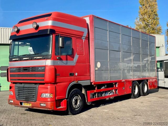 Maleta DAF XF 95.430 DUTCH TRUCK !  E4
