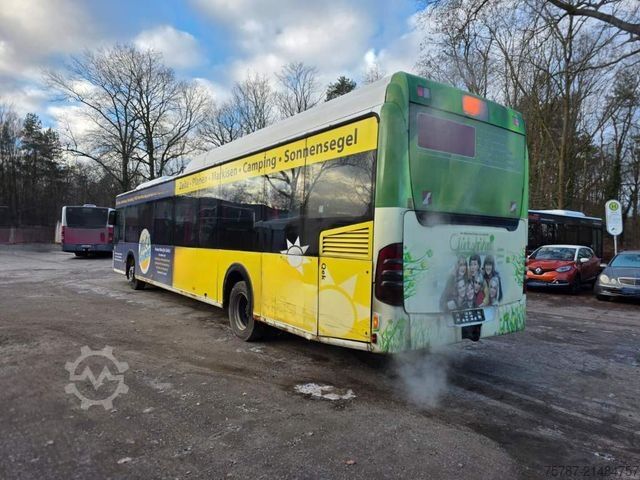 Milliborgarstrætó MERCEDES-BENZ Citaro O530 LE, Gurten,  Armlehnen, Gardinen