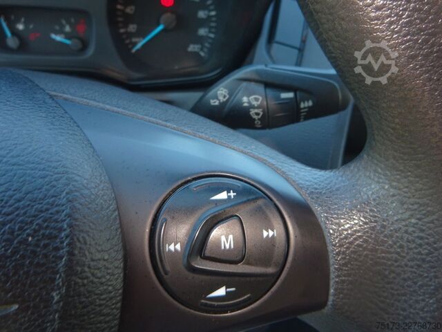 Panel kombi FORD Transit Custom 260 L1H1 LKW City Light AHK