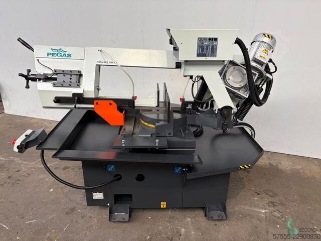  Pegas-Gonda 300x320 GH-LR