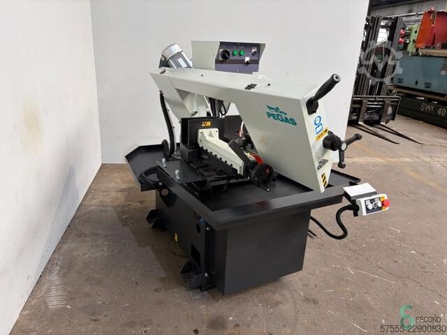  Pegas-Gonda 300x320 GH-LR