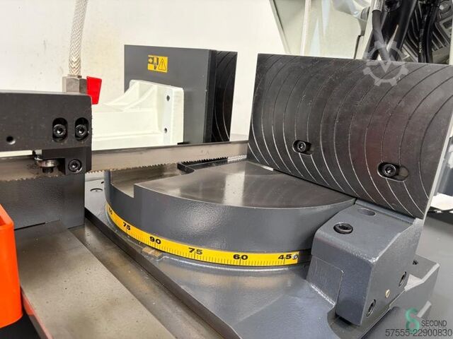  Pegas-Gonda 300x320 GH-LR