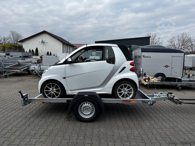 Car transport Neptun Multi kippbar 3,05x1,66m 1300kg GN155